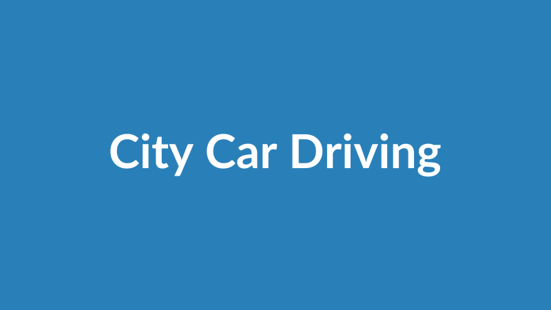 City Car Driving